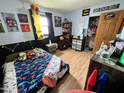 205 3rd St NE, Surrey, ND 58785 photo 10