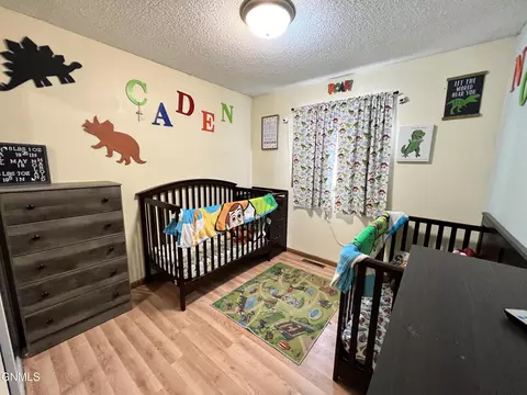 205 3rd St NE, Surrey, ND 58785 photo 14