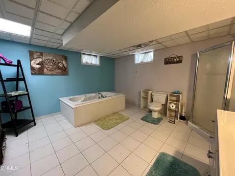 205 3rd St NE, Surrey, ND 58785 photo 19