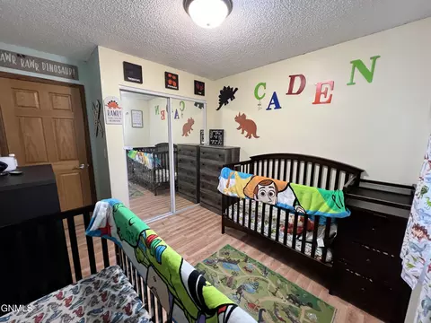 205 3rd St NE, Surrey, ND 58785 photo 15