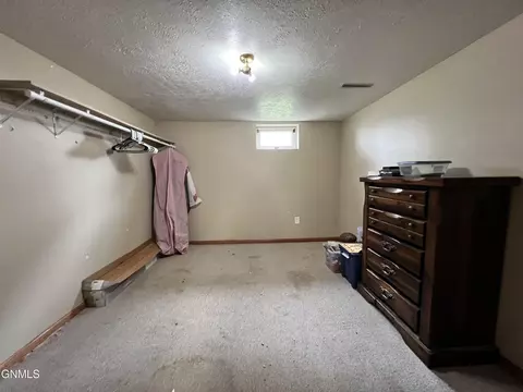 205 3rd St NE, Surrey, ND 58785 photo 18