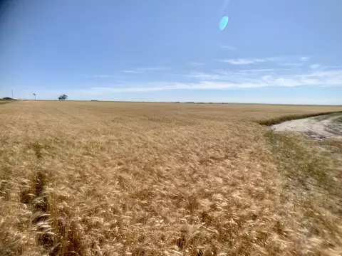 005 44th St, Mandan, ND 58554 photo 5