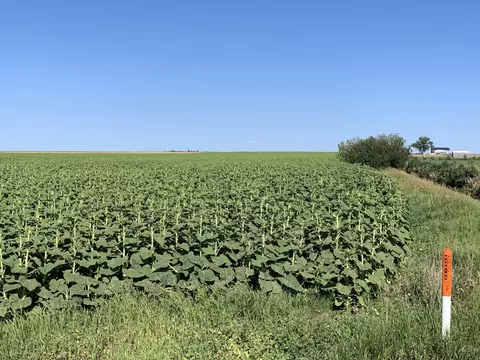 006 23rd Ave, Mandan, ND 58554 photo 7
