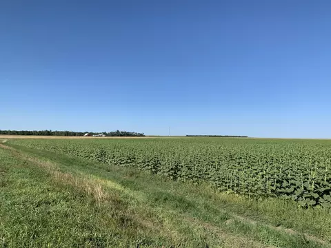 006 23rd Ave, Mandan, ND 58554 photo 5