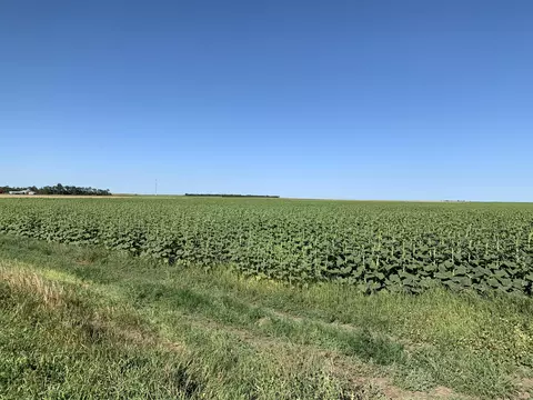006 23rd Ave, Mandan, ND 58554 photo 3