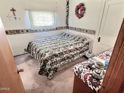 215 1st Ave E, New Leipzig, ND 58562 photo 19