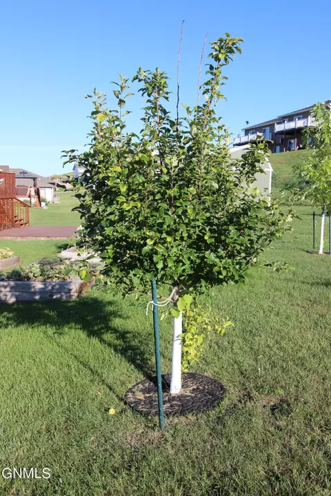1118 Horseman Loop, Bismarck, ND 58501 photo 15
