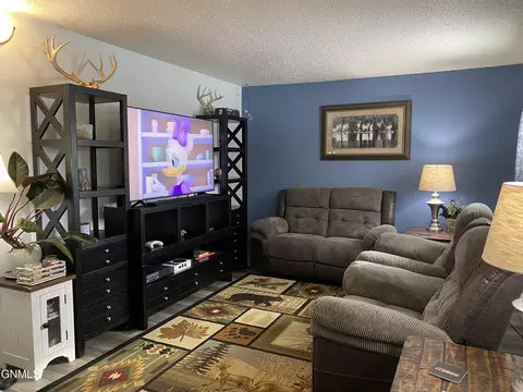 1010 Sioux St, Williston, ND 58801 photo 10