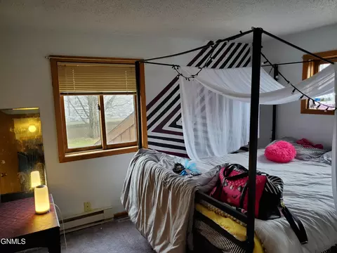 217 Maple St E, Gackle, ND 58442 photo 34