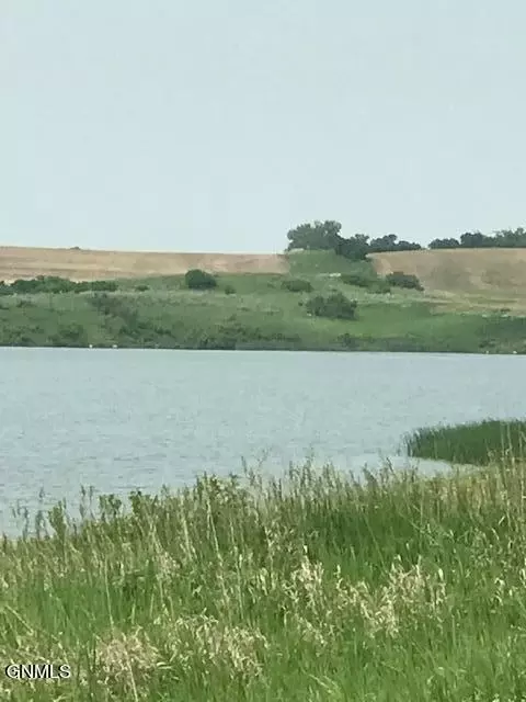 Tbd Tbd, Pingree, ND 58476