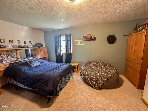 30250 370th Ave NE, Wing, ND 58494 photo 50