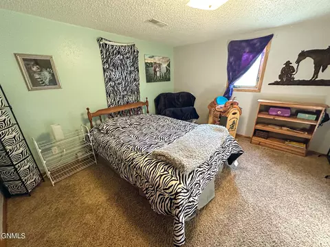 30250 370th Ave NE, Wing, ND 58494 photo 64