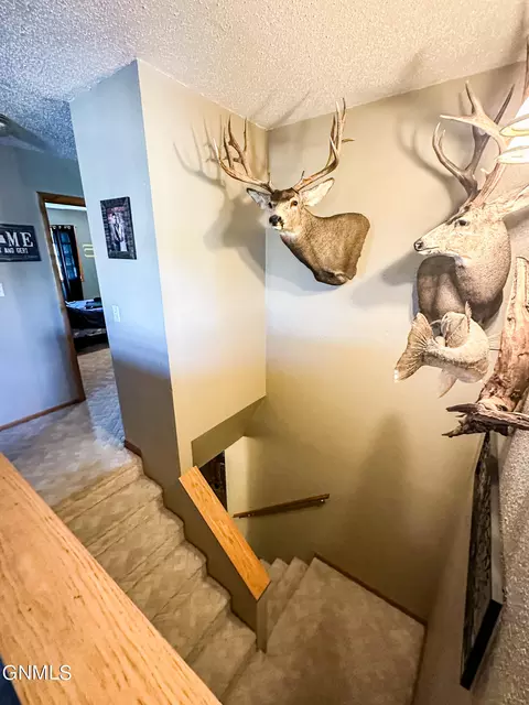 30250 370th Ave NE, Wing, ND 58494 photo 57
