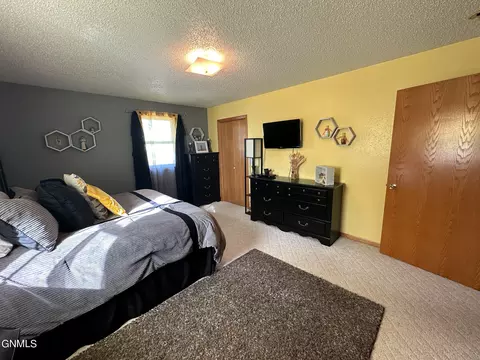 30250 370th Ave NE, Wing, ND 58494 photo 54