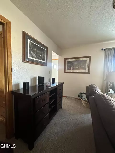 209 5th Ave, Edgeley, ND 58433 photo 9