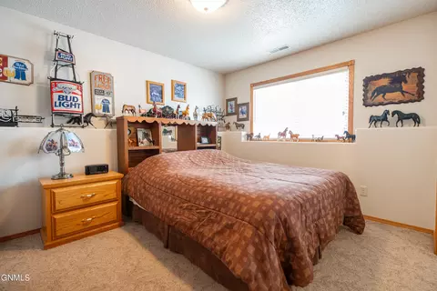 885 188th Ave NE, Baldwin, ND 58521 photo 29
