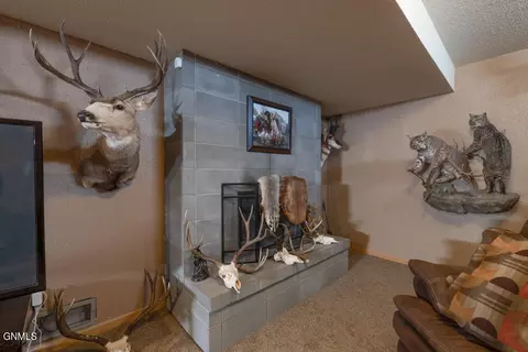 912 29th St, Bismarck, ND 58501 photo 28