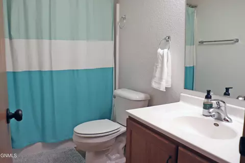 Bath - 156 Burke Dr, Lincoln, ND 58504 photo 4 of 4