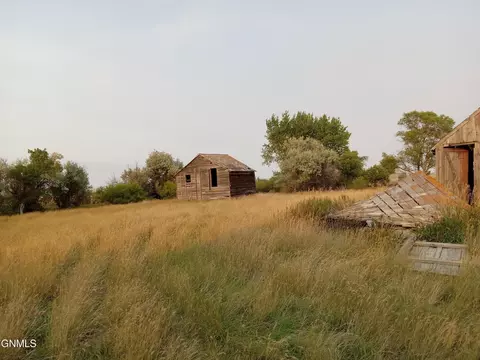 Near Buffalo Road, Medicine Lake, MT 59247