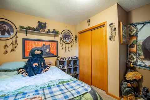 Bedroom - 60 20th St SW, Dickinson, ND 58601 photo 2 of 4