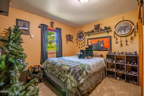 Bedroom - 60 20th St SW, Dickinson, ND 58601 photo 1 of 4