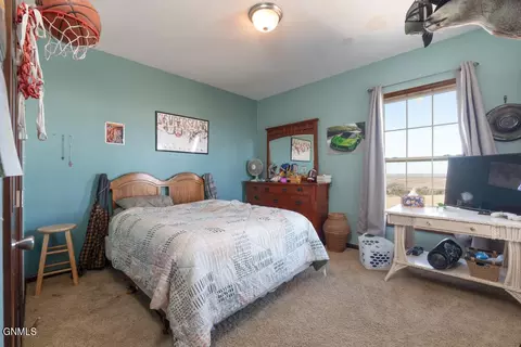 14826 93rd St NE, Baldwin, ND 58521 photo 30