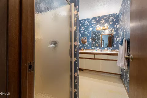 Bath - 408 E Brandon Dr, Bismarck, ND 58503 photo 5 of 5
