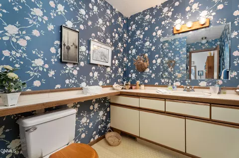 Bath - 408 E Brandon Dr, Bismarck, ND 58503 photo 4 of 5