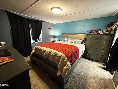 203 E Deer St, Mandan, ND 58554 photo 10