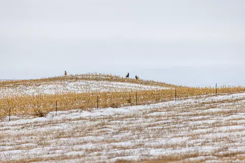 tbd 49th St SW, Hebron, ND 58638 photo 56