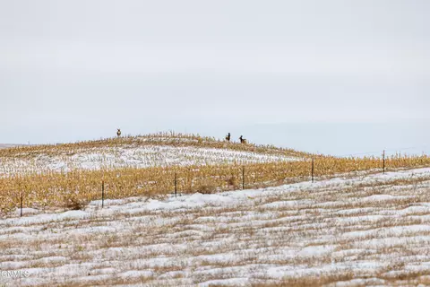 tbd 49th St SW, Hebron, ND 58638 photo 57