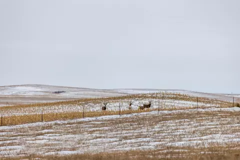 tbd 49th St SW, Hebron, ND 58638 photo 44
