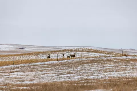 tbd 49th St SW, Hebron, ND 58638 photo 43