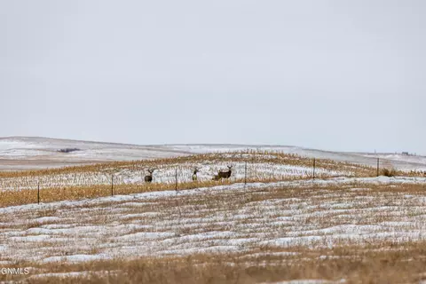 tbd 49th St SW, Hebron, ND 58638 photo 45