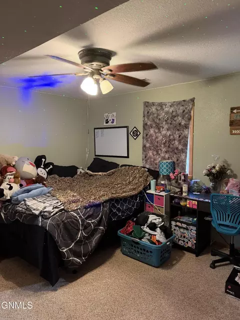 4407 Chamberlain Dr, Bismarck, ND 58503 photo 13