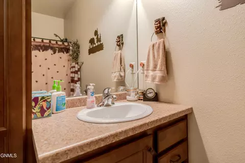 Bath - 342 Lorrain Dr, Bismarck, ND 58503 photo 9 of 9