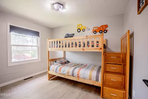 Bedroom - 133 Sturgis Loop, Lincoln, ND 58504 photo 2 of 6