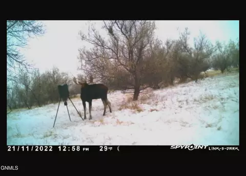 Other - 679 38th Ave NE, Bowdon, ND 58418 photo 60 of 69