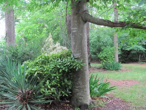 8225 Sheffield Dr, Gloucester, VA 23061 photo 5