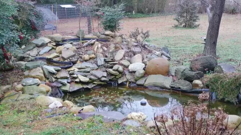 7042 E View Rd, Hayes, VA 23072 photo 13