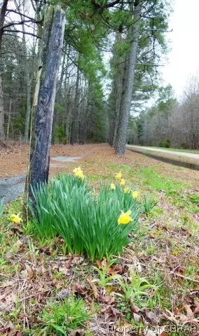 6914 Ware Neck Rd, Gloucester, VA 23061 photo 38