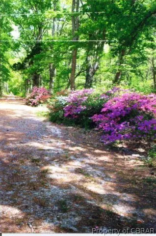 6914 Ware Neck Rd, Gloucester, VA 23061 photo 11