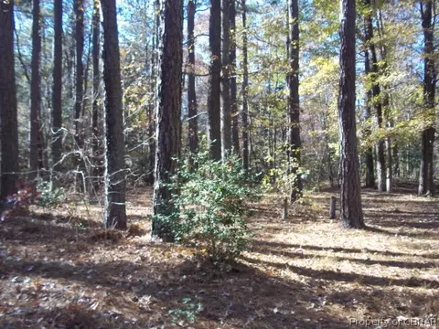 9064 Indian Rd, Gloucester, VA 23061 photo 2