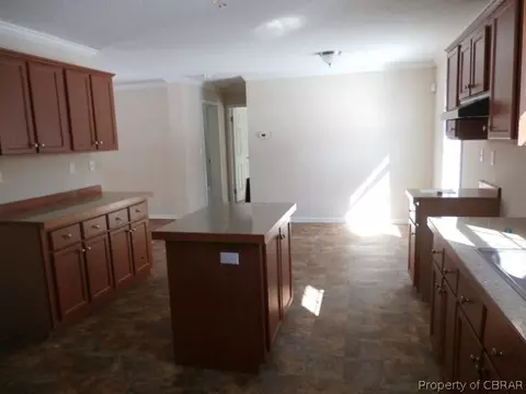 10443 Freewelcome Ln, Dutton, VA 23050 photo 7