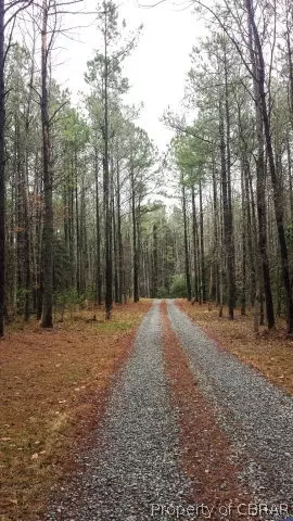 16365 Stage Rd, Lanexa, VA 23089 photo 35