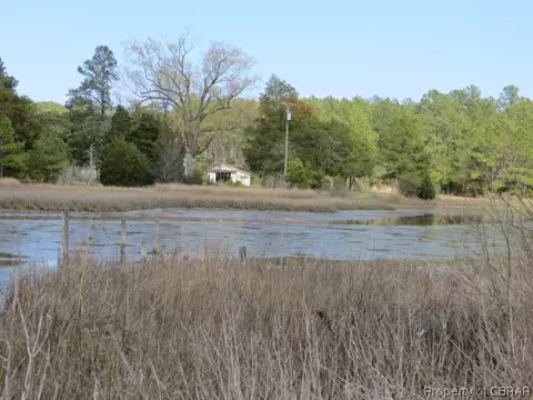 173 Piney Point Rd, Onemo, VA 23130 photo 11