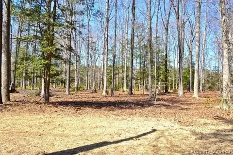 294 Pineview Dr, Hartfield, VA 23071 photo 26