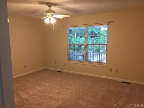 10520 Cedar Gate Ln, Dutton, VA 23050 photo 19