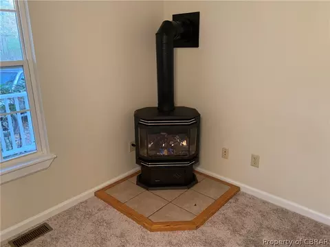 10520 Cedar Gate Ln, Dutton, VA 23050 photo 8