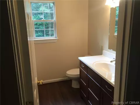 10520 Cedar Gate Ln, Dutton, VA 23050 photo 37